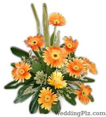 Whitefields Florists weddingplz