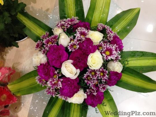 Ferns N Petals Florists weddingplz
