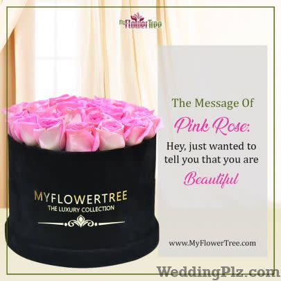 My Flower Tree Florists weddingplz