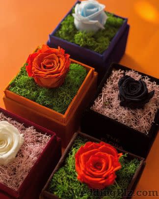 The Flora Studio Florists weddingplz