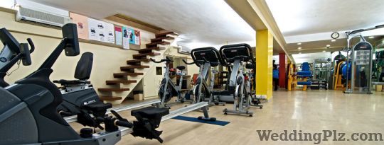 Elite Fitness Gym weddingplz