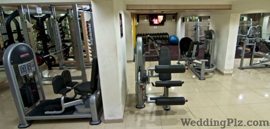 Elite Fitness Gym weddingplz