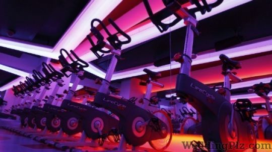 48 Fitness Gym weddingplz