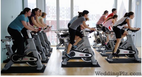 Varjish Gym and Spa Gym weddingplz