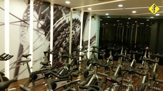 Just Fitness Healthclub Gym weddingplz