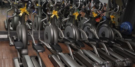 Prime Physique Gym weddingplz