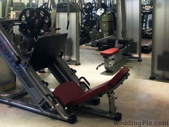 Sculpt Gym Gym weddingplz