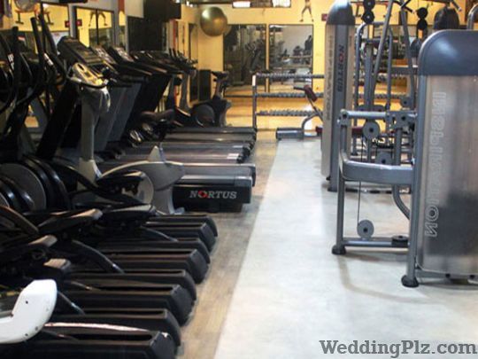 Sculpt Gym Gym weddingplz