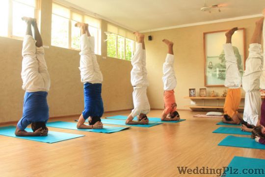 Sivananda Yoga Vedanta Centre Gym weddingplz