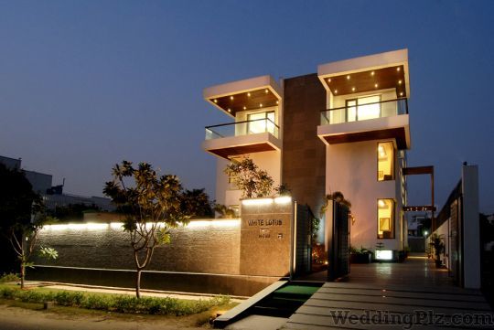 White Lotus Hotels weddingplz