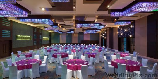 Crowne Plaza Hotels weddingplz