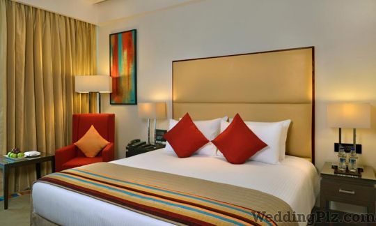 Park Plaza Zirakpur Hotels weddingplz