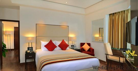 Park Plaza Zirakpur Hotels weddingplz