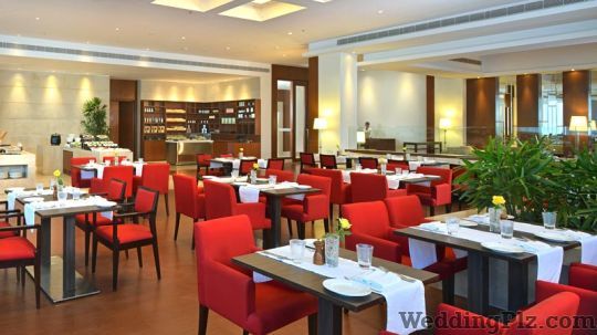 Park Plaza Zirakpur Hotels weddingplz