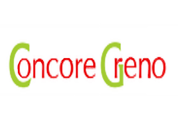 Concore Greno Hotels weddingplz