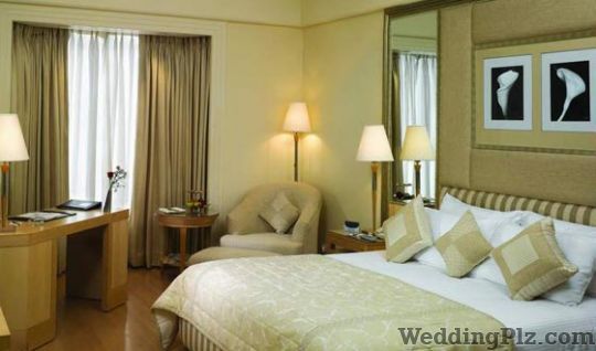Park Plaza Hotels weddingplz
