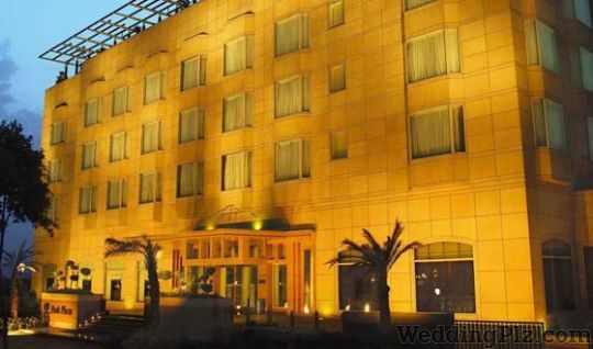 Park Plaza Hotels weddingplz