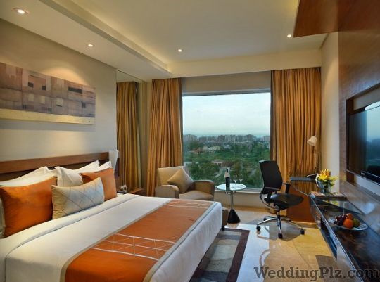 Radisson Blu Hotel and Resorts Hotels weddingplz