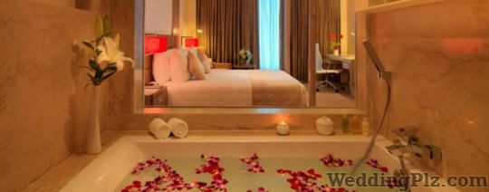 Radisson Blu Hotel and Resorts Hotels weddingplz