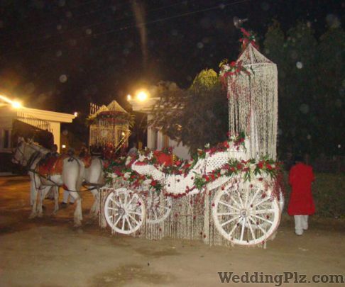 Sonu Band Gulawati Waale Bands weddingplz