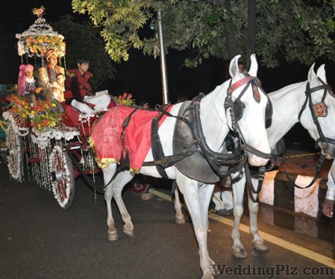 Sonu Band Gulawati Waale Bands weddingplz