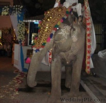 Shehnai Waden Bands weddingplz