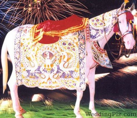 Shiv Om Band Bands weddingplz