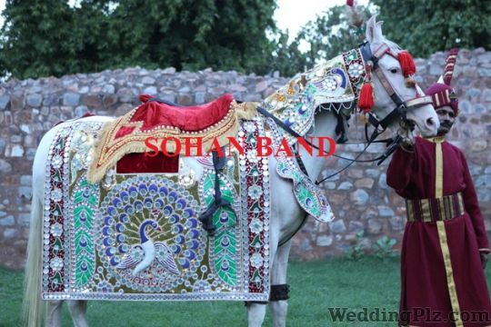 Sohan Band Bands weddingplz