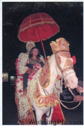 Gautam Events Gauri Shankar Horse Supplier and Brass Band Bands weddingplz