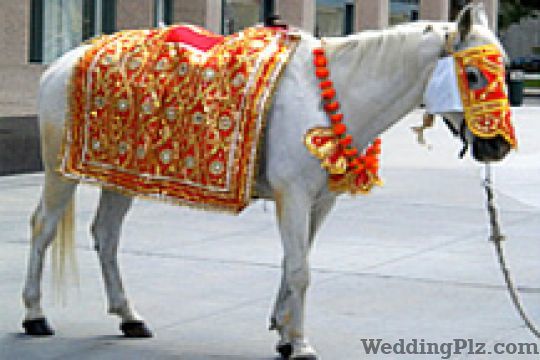 Humjoli Bands weddingplz