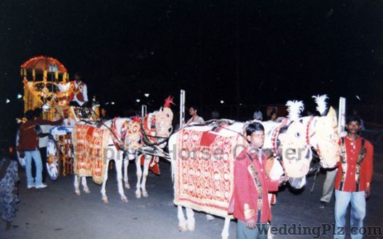 Supriya Horse Carrier Bands weddingplz