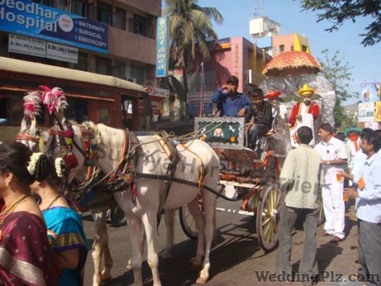 Supriya Horse Carrier Bands weddingplz