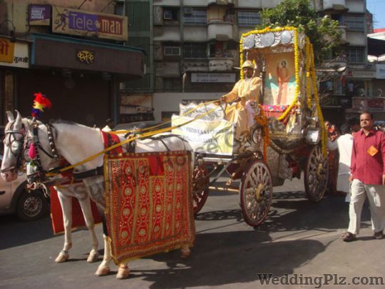 Supriya Horse Carrier Bands weddingplz