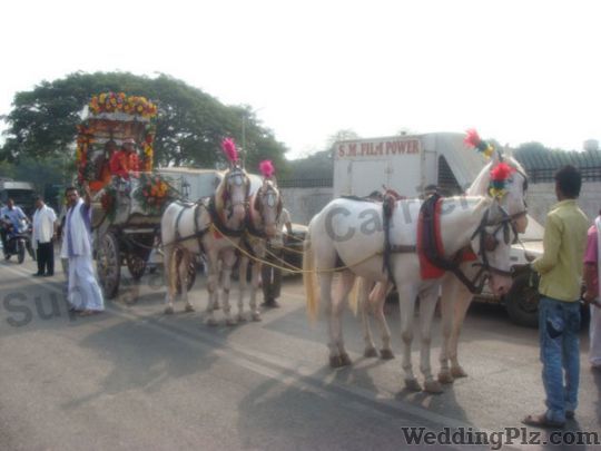 Supriya Horse Carrier Bands weddingplz