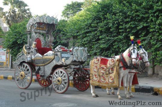 Supriya Horse Carrier Bands weddingplz
