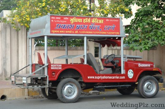 Supriya Horse Carrier Bands weddingplz