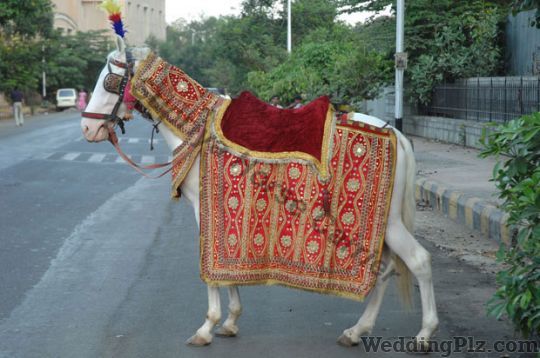 Supriya Horse Carrier Bands weddingplz