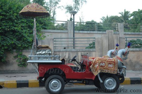 Supriya Horse Carrier Bands weddingplz