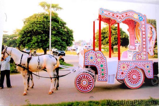 Shere Punjab Band Bands weddingplz