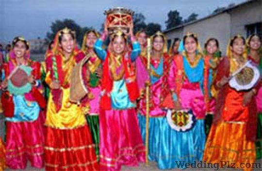 Shere Punjab Band Bands weddingplz