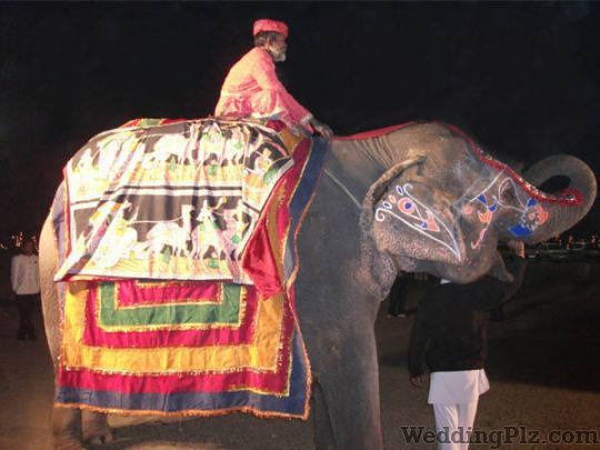 Shere Punjab Band Bands weddingplz