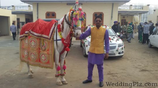 Shartri Band Bands weddingplz