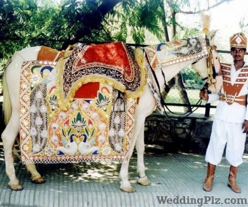 Great Raja Band Bands weddingplz