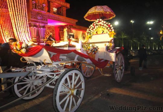 Ashoka Brass Band Bands weddingplz