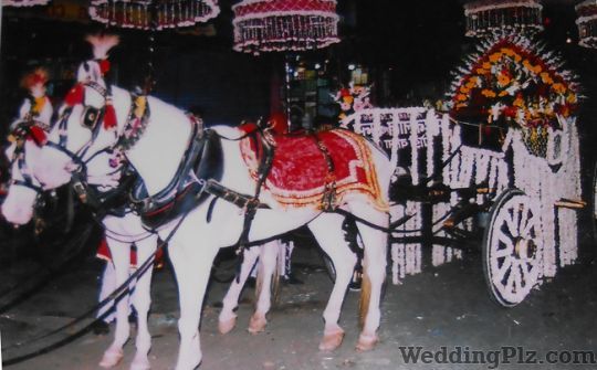 Suraj Band Bands weddingplz