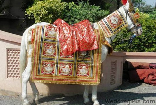 Sunny Rana Band Bands weddingplz