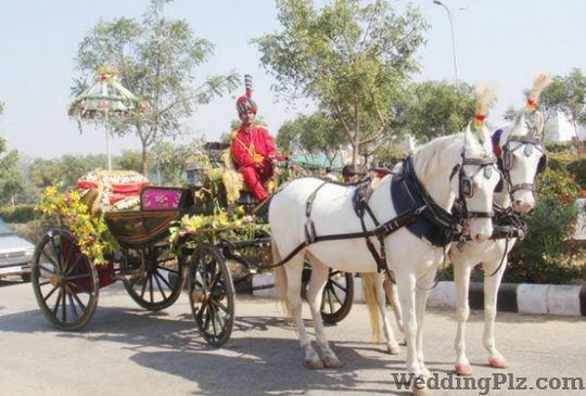 Sunny Rana Band Bands weddingplz