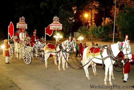Sunny Rana Band Bands weddingplz