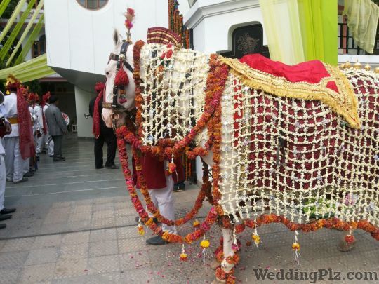 Janta Band Gulawathi Wala Bands weddingplz