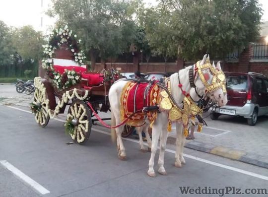 Ssb band Bands weddingplz